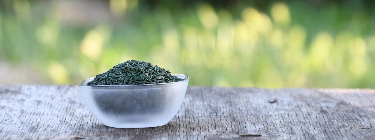 Proprietà e benefici della Spirulina