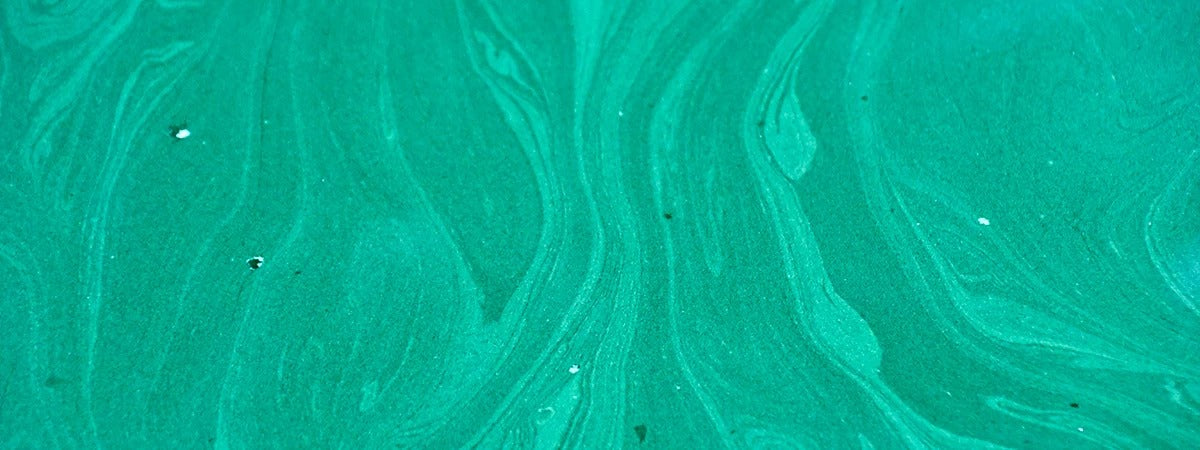 Controindicazioni ed effetti collaterali della Spirulina: Cosa devi sapere prima di assumerla