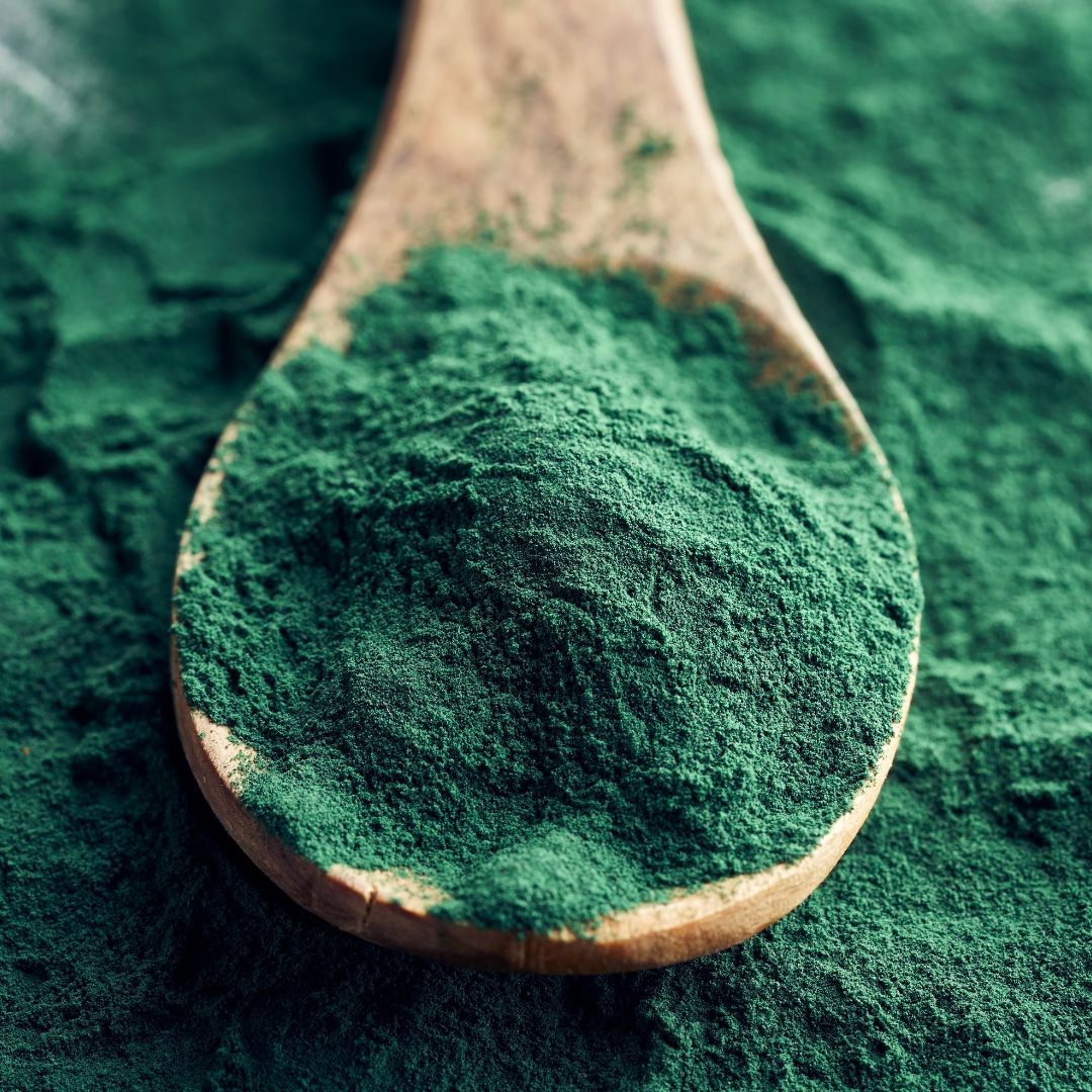 Spirulina in polvere